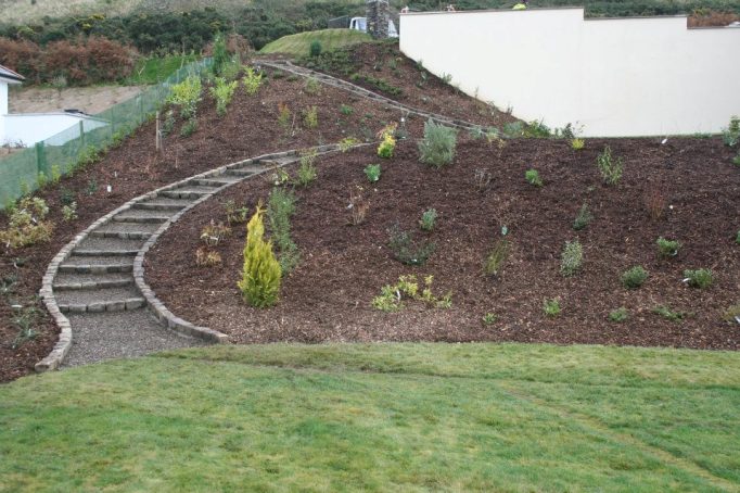Landscaping